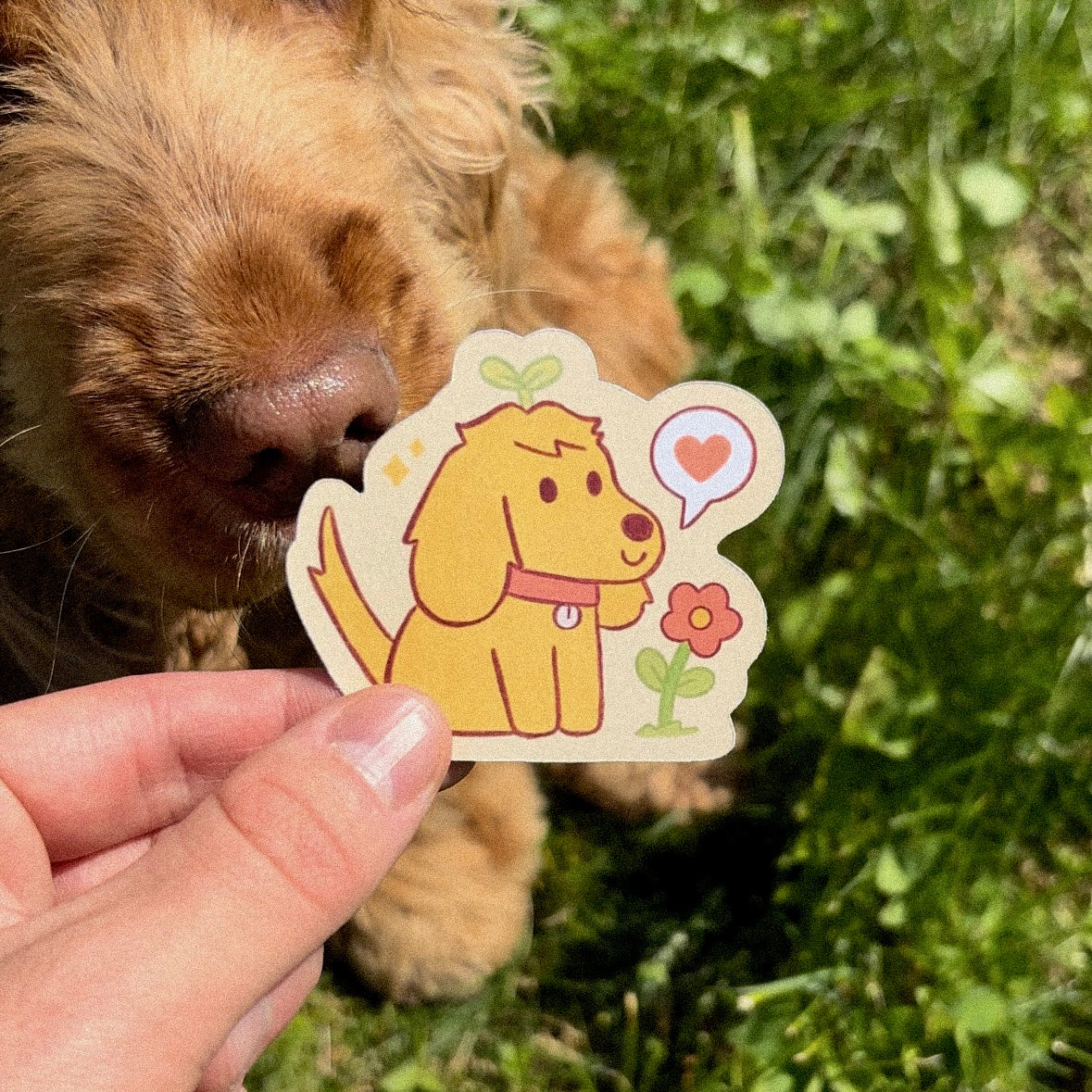 Cocker Sticker